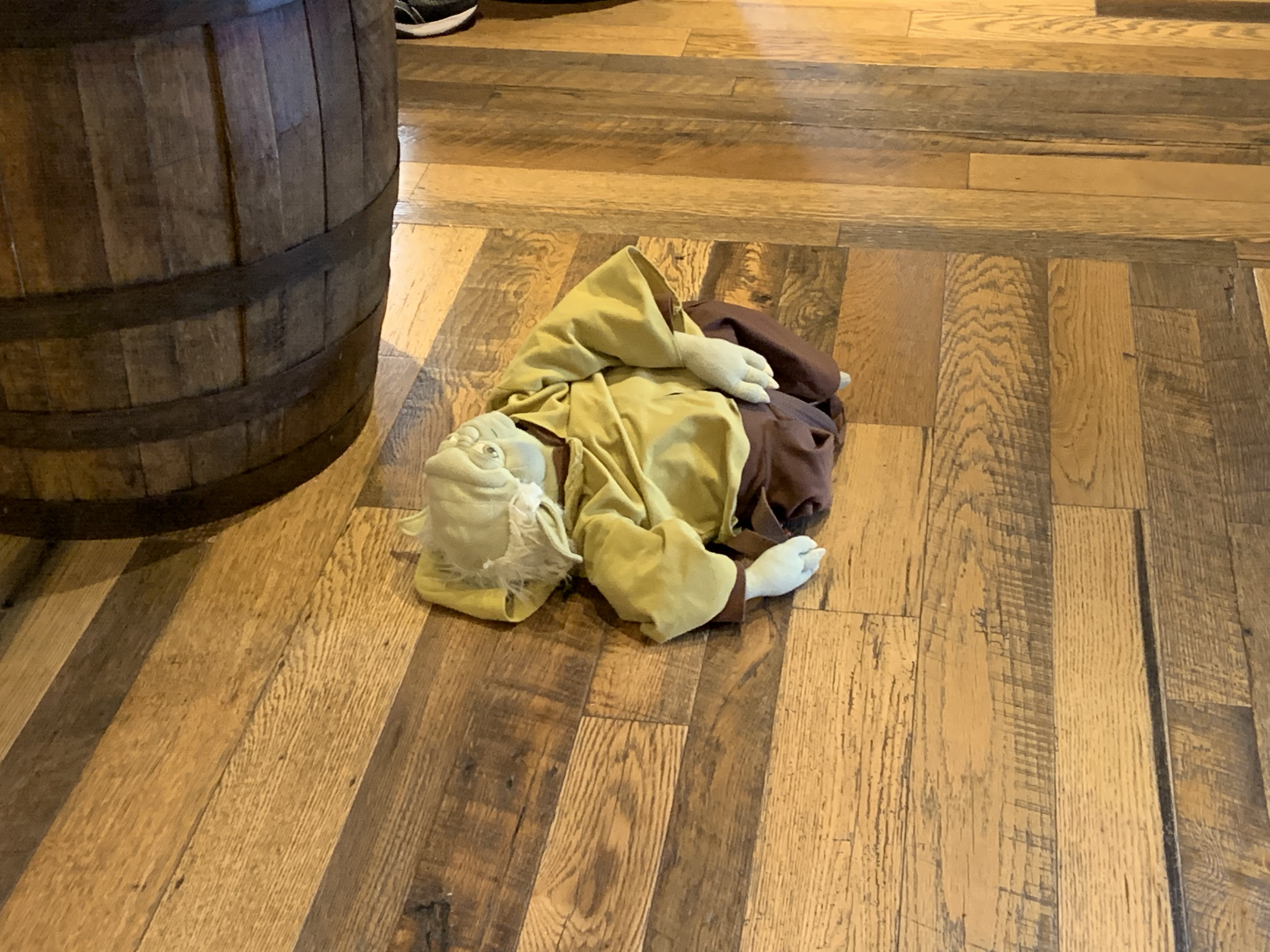 Sad Yoda 12/11/19