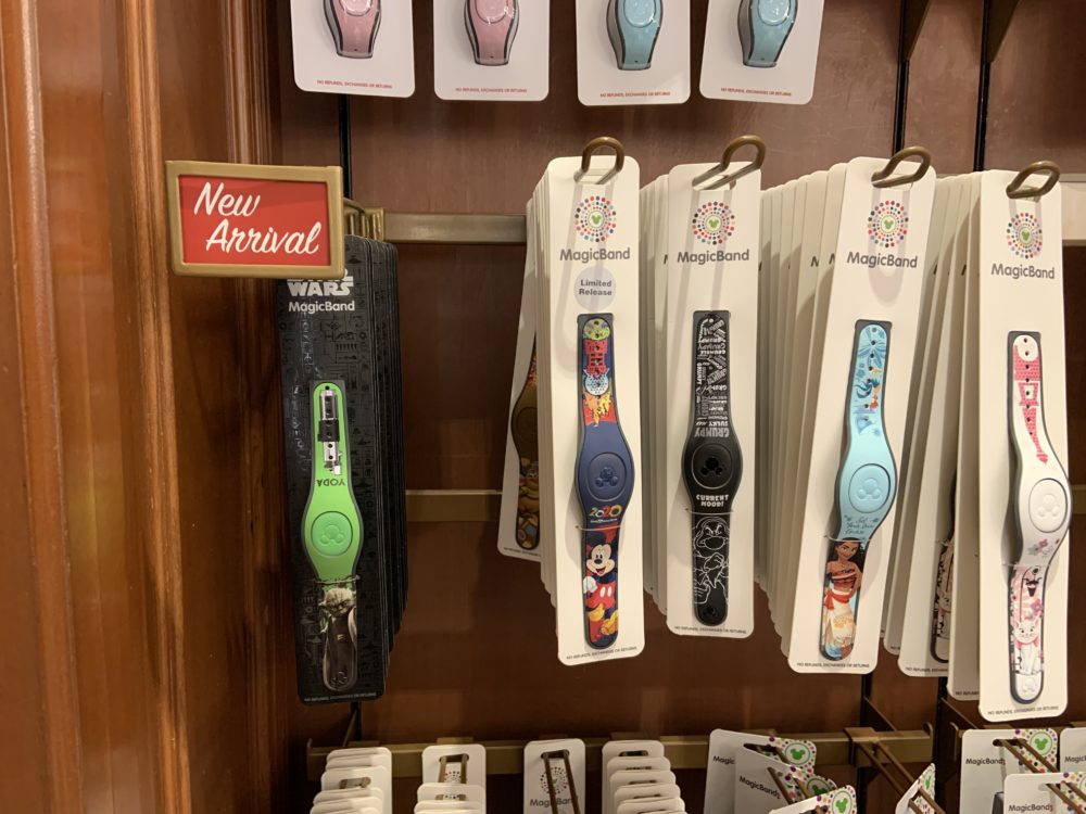 Missing Park Life MagicBand 12/27/19