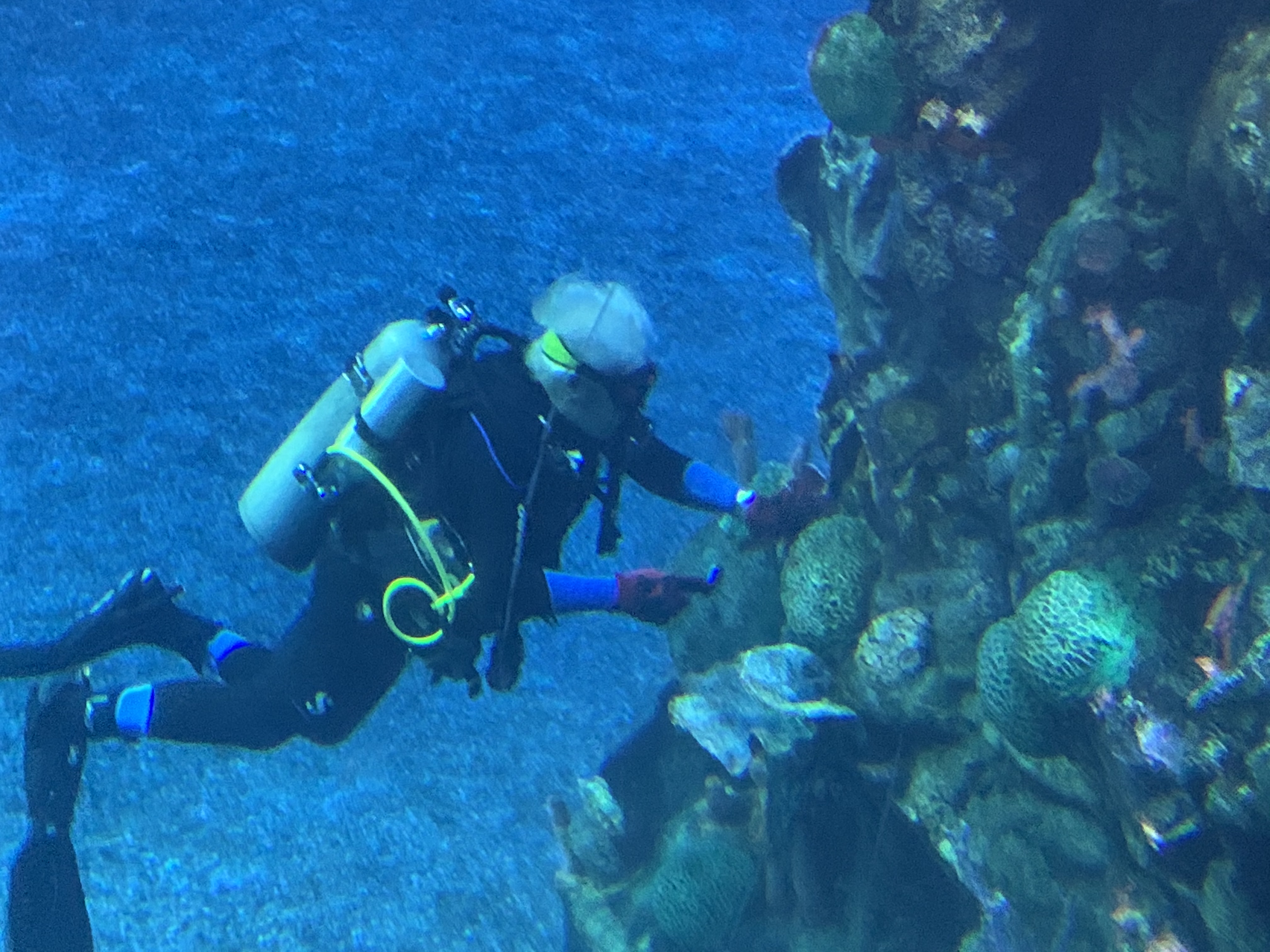 The seas 12/23/19 2