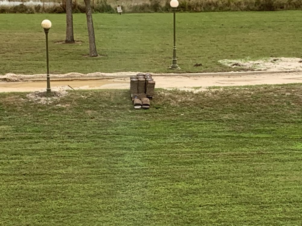 Grand Floridian bridge 12/27/19 7