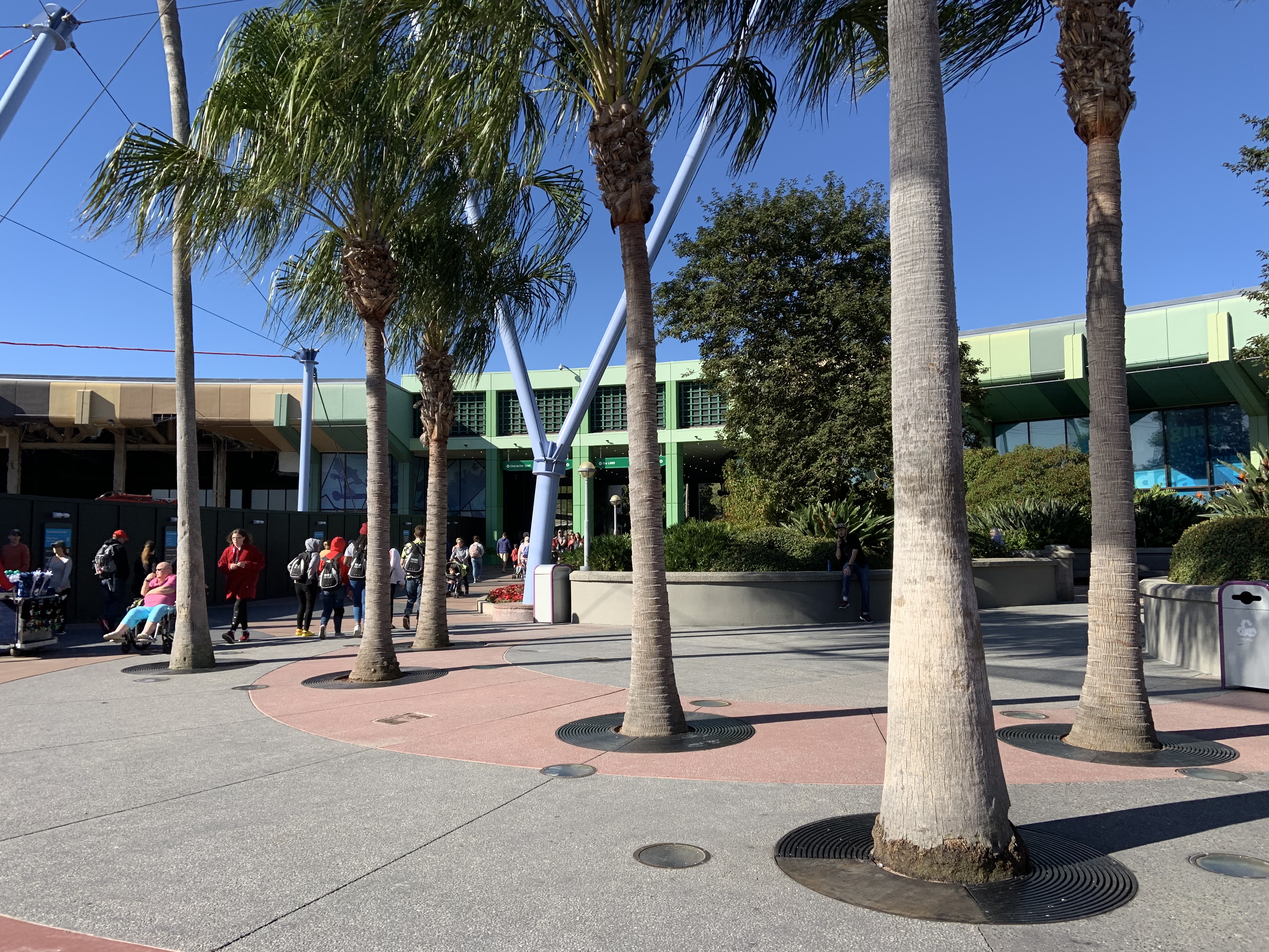 Wood panel by palm tree EPCOT 2