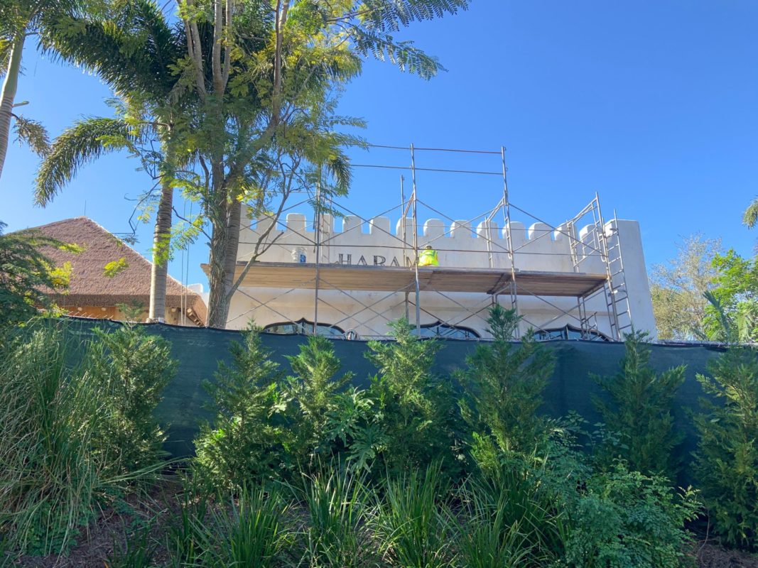 Harambe House December 7 Construction 11