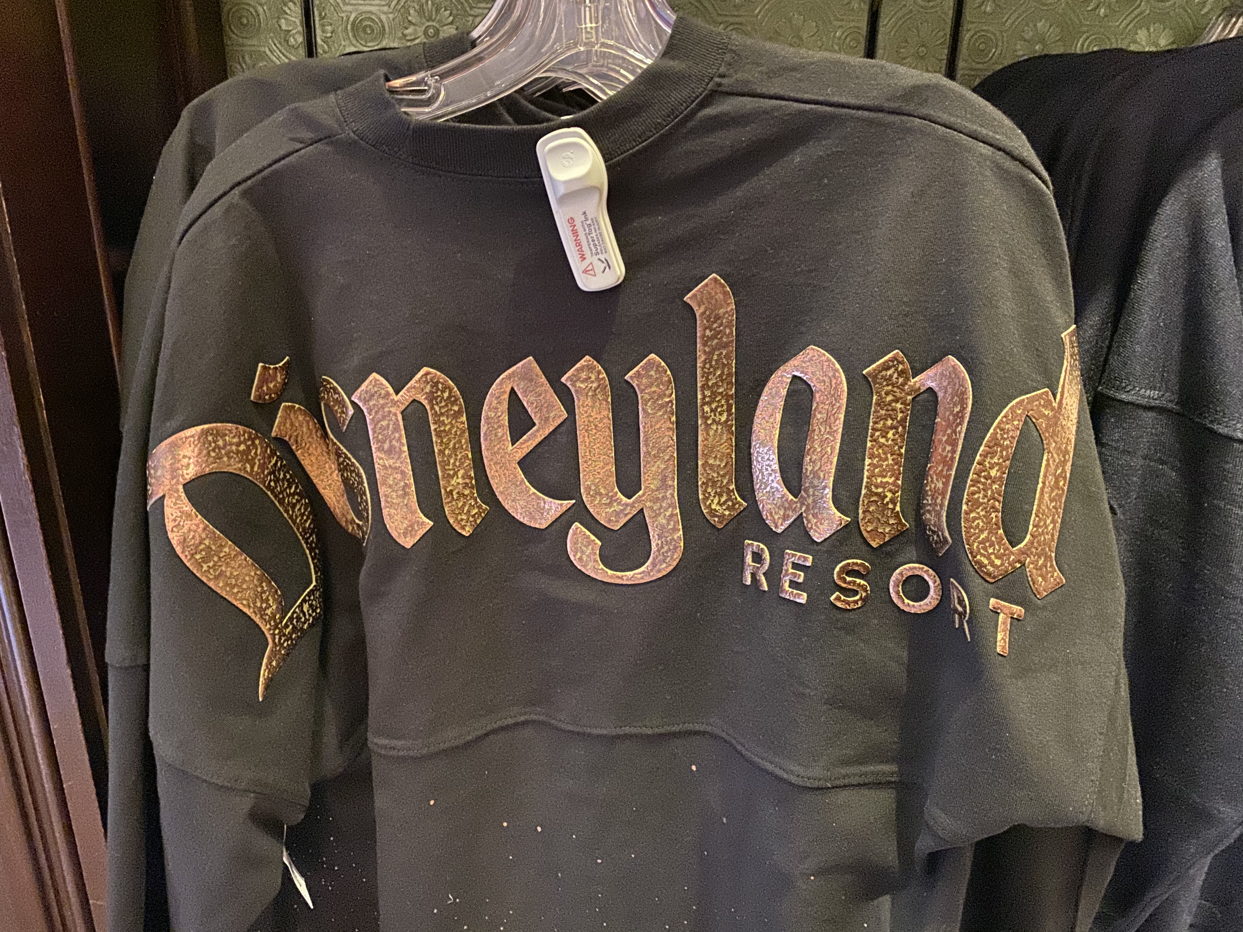 Bronze DL merch