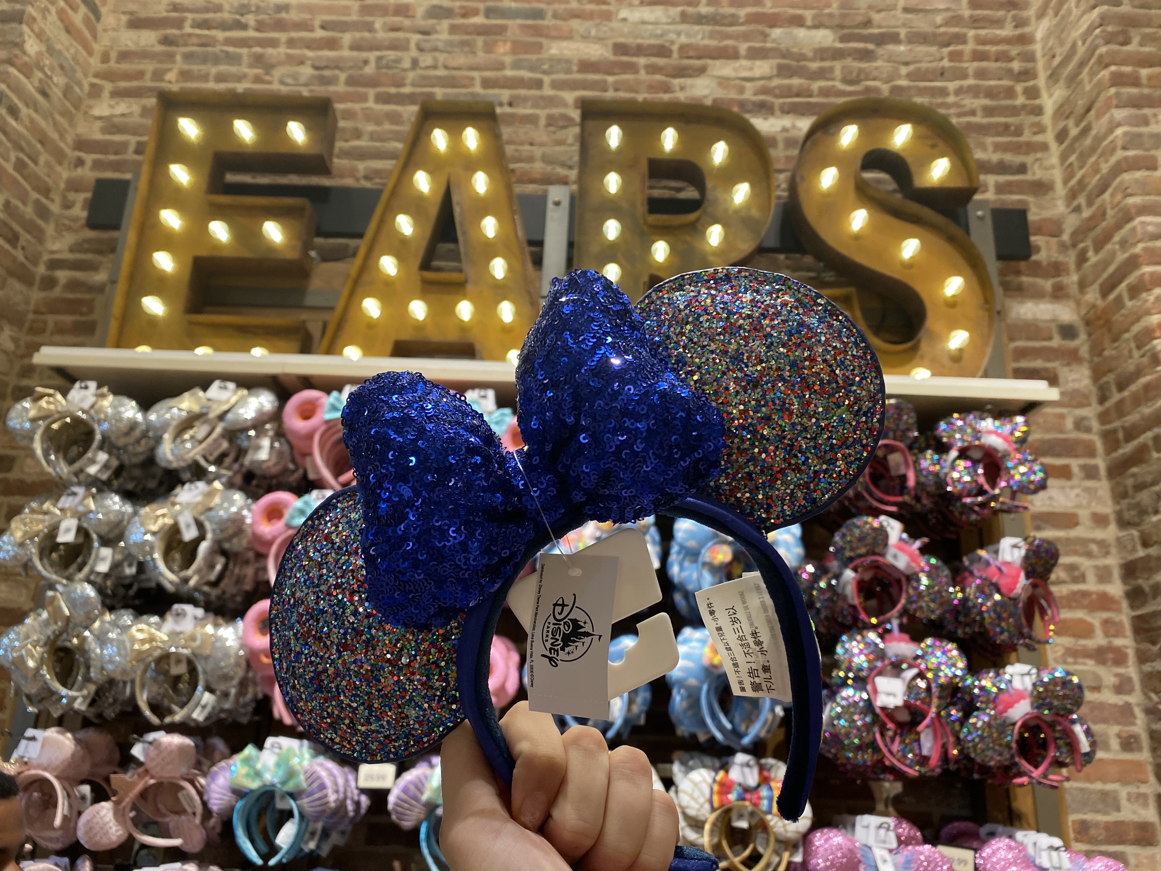 minnie 2020 ears
