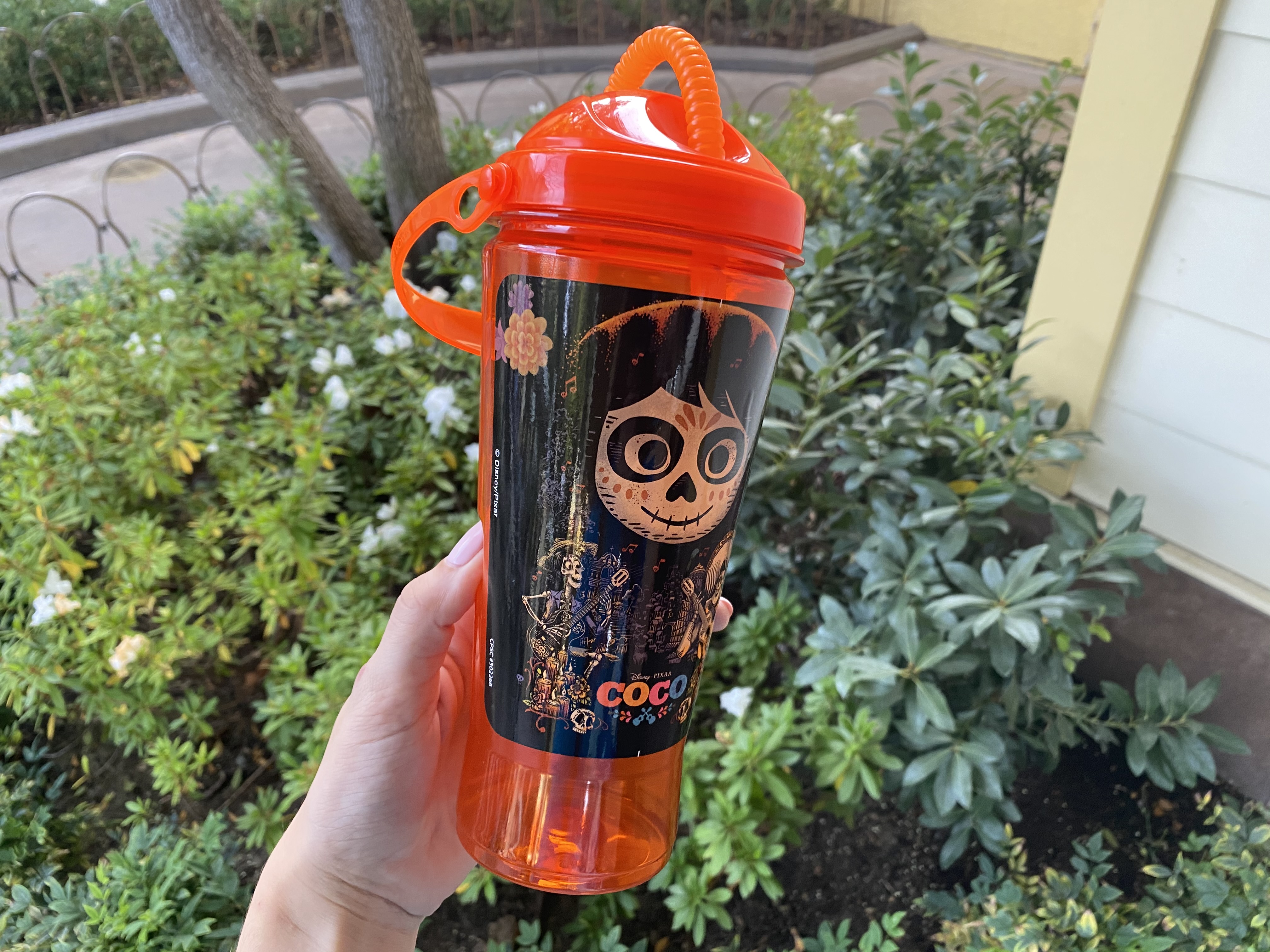 coco sipper