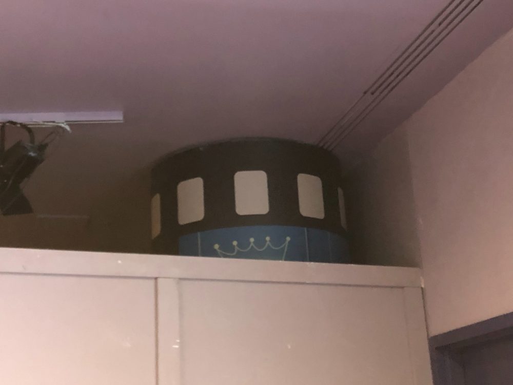 mickey meet and greet - 12-28-19 - column detail