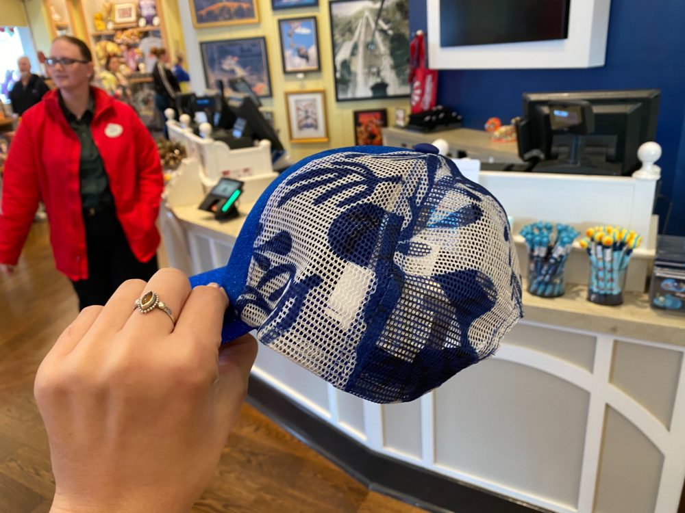 dory moment hat