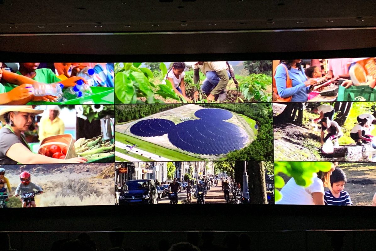 Collage of nature-related images on a large screen, with Mickey-shaped solar panels in the center