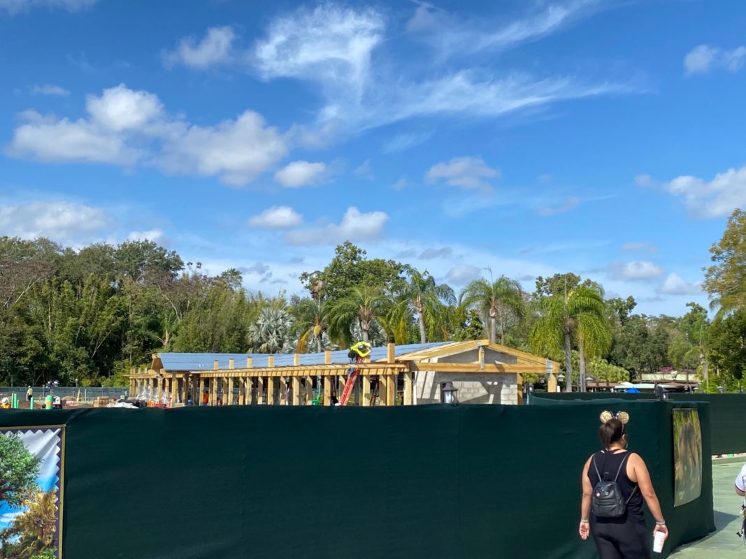 animal kingdom security construction