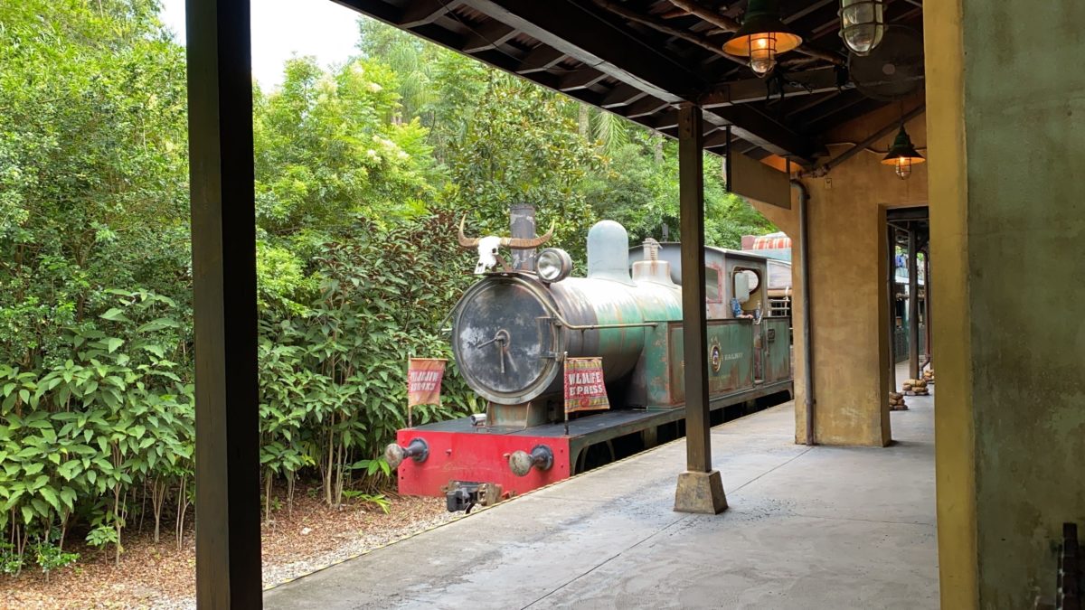 wildlife express train at animal kingdom