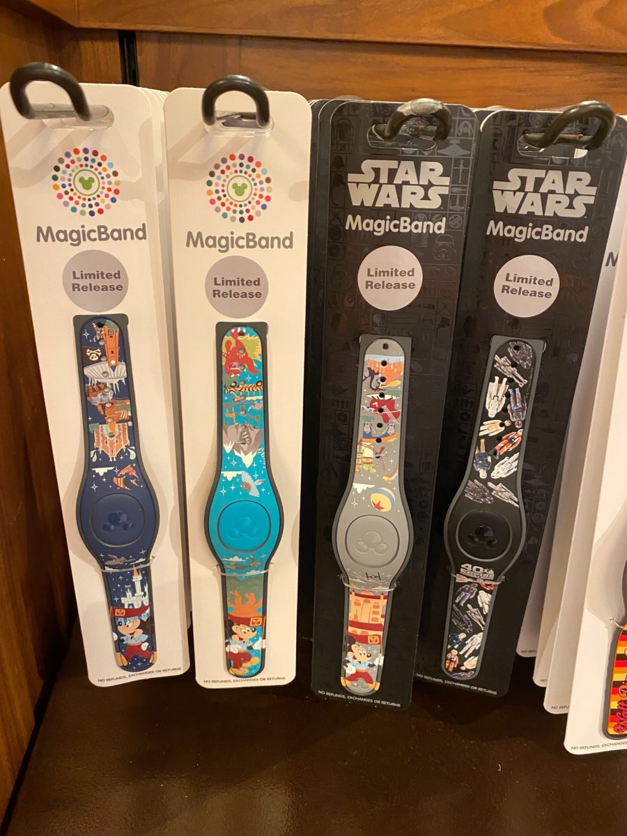 Park Life MagicBand DAK Disney's Animal Kingdom DHS Disney's Hollywood Studios