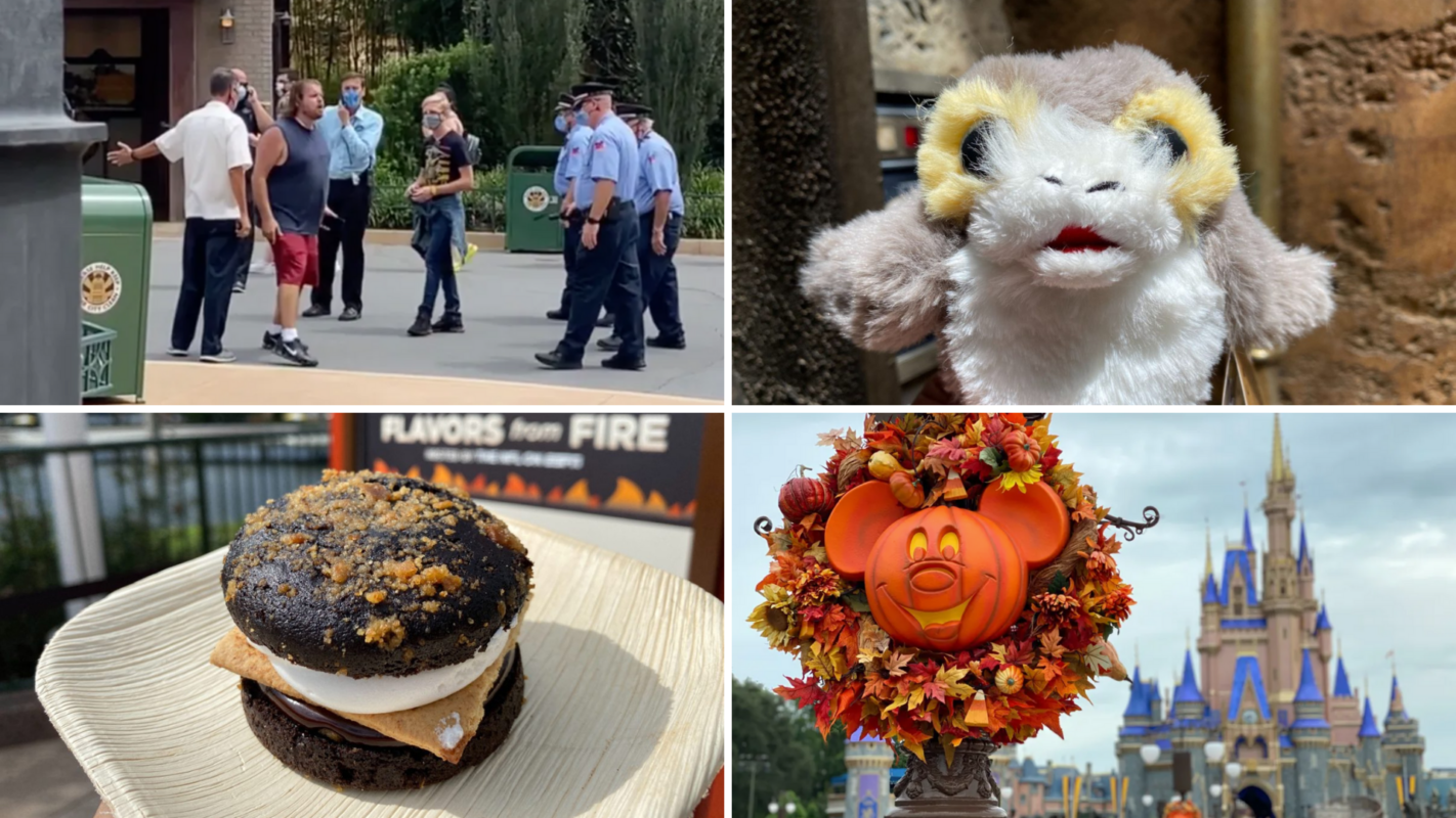 9-20-20-recap-collage-b