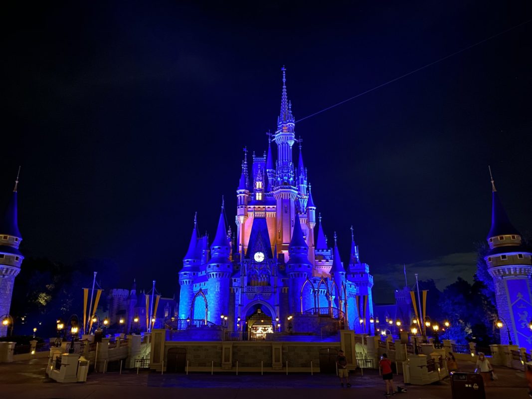 cinderella-castle-lit-up-night-16-5246348