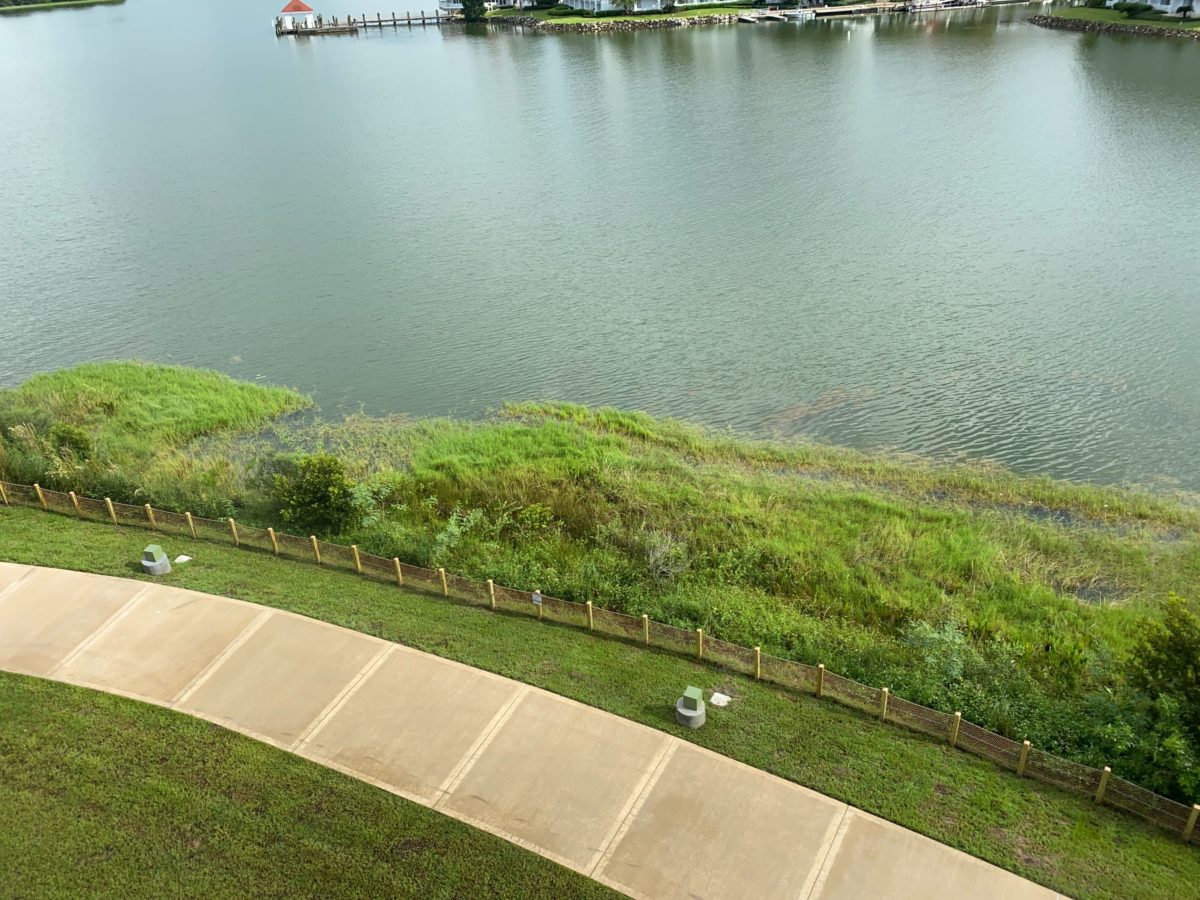 grand-floridian-magic-kingdom-walkway-28