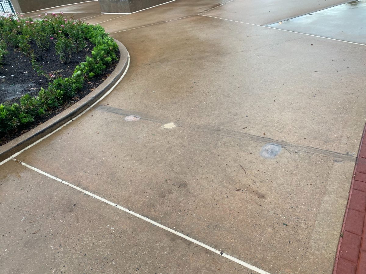 grand-floridian-reopening-16-8629461