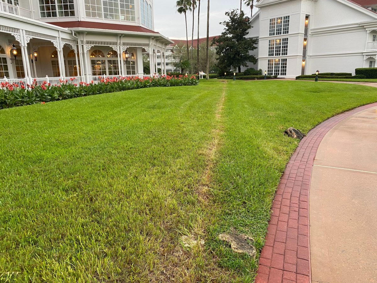 grand-floridian-reopening-17-4894187