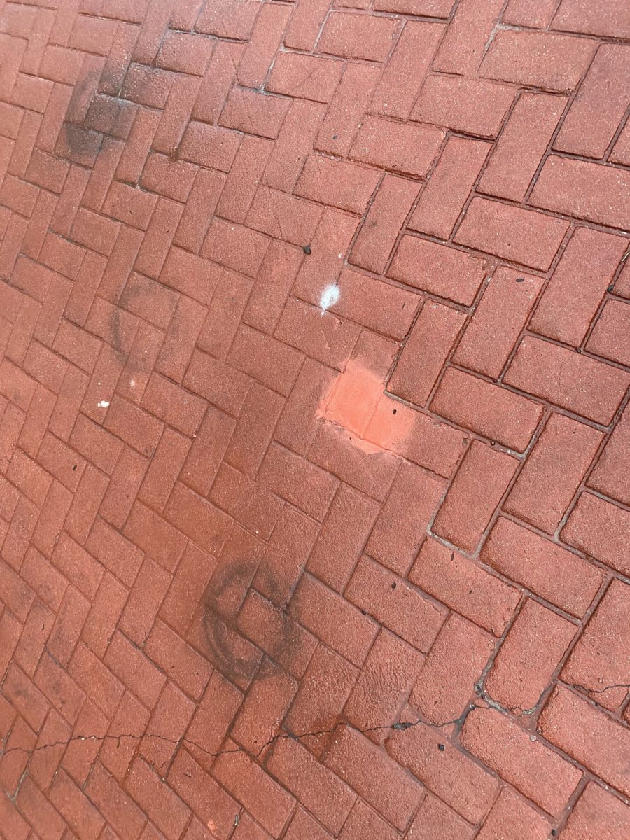 grand-floridian-reopening-21-3794443