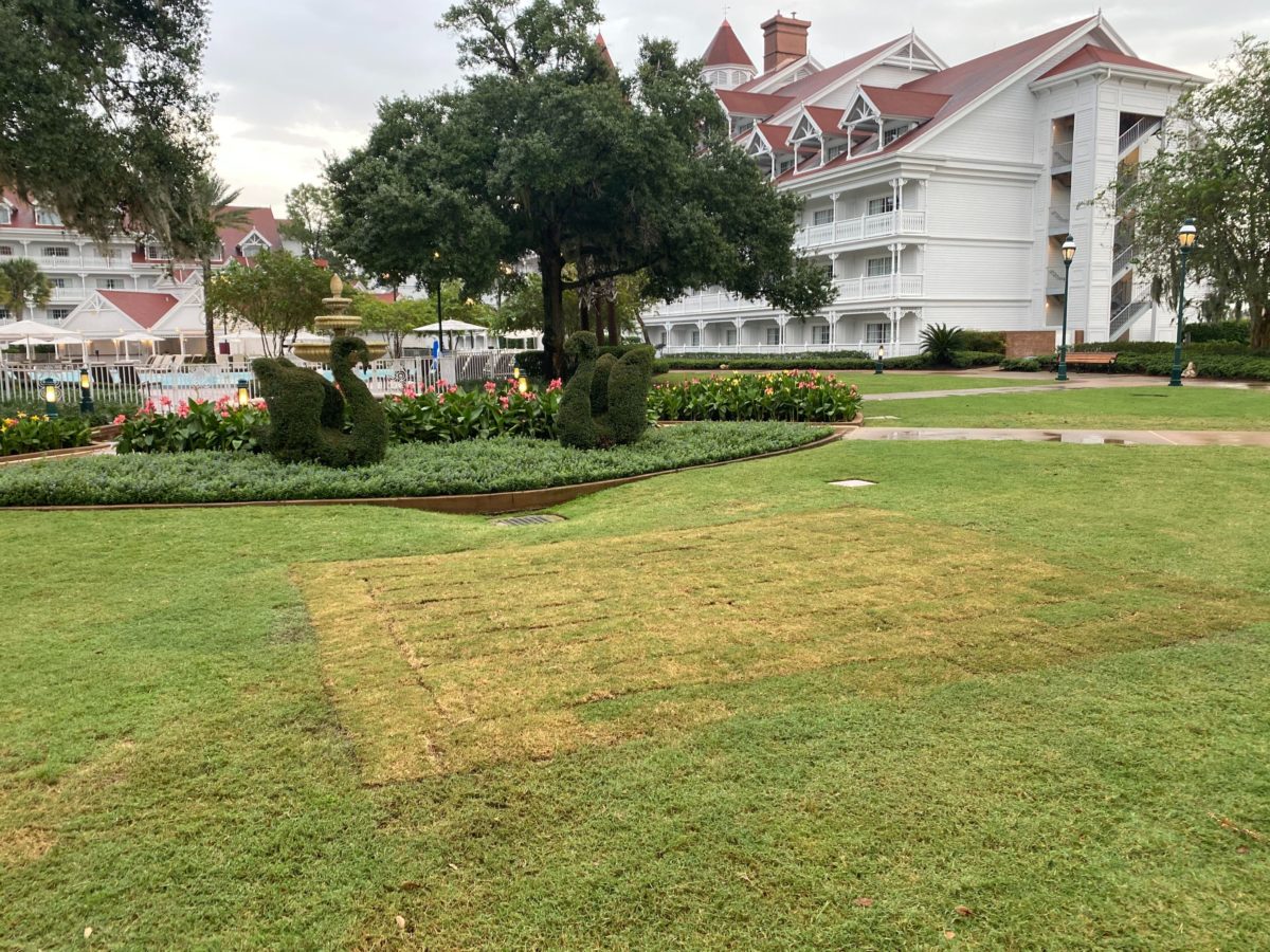 grand-floridian-reopening-6-4559229