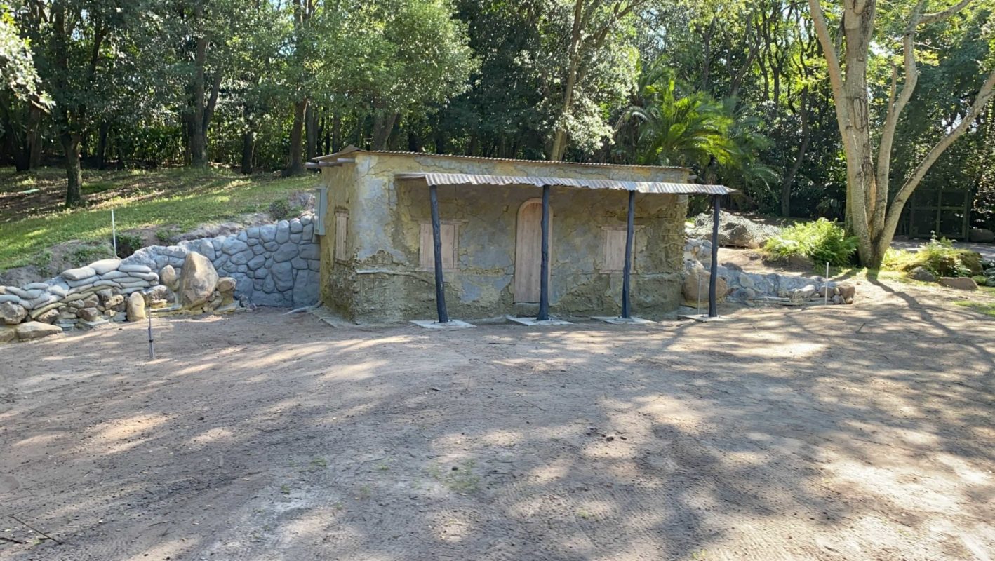 Kilimanjaro Safari goat exhibit construction