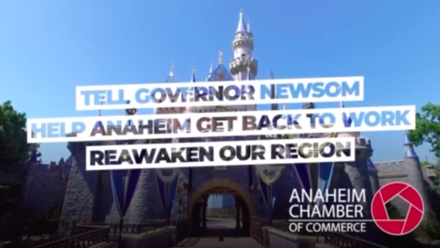 screen-shot-2020-09-25-at-4-28-29-pm-7468578