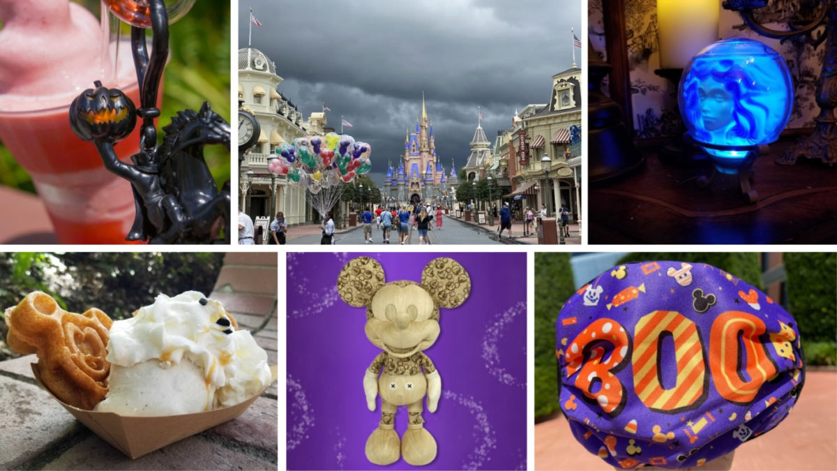 WDWNT Weekly Recap