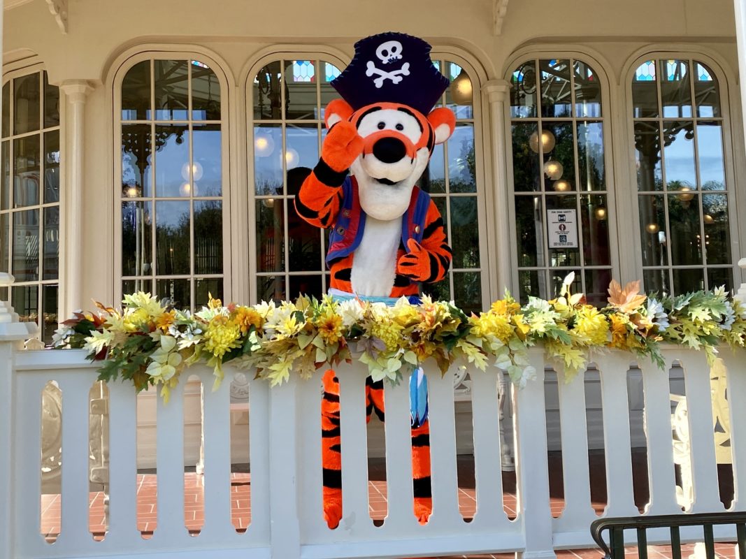 tigger-pirate-halloween-costume-magic-kingdom-9302020-4965539