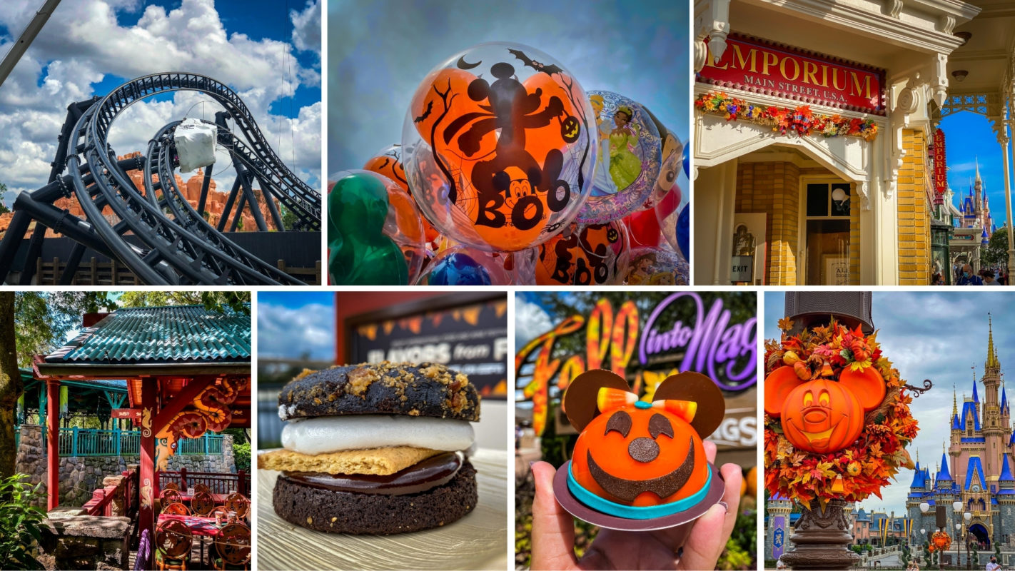 wdwnt-top-7-photo-recap-september-20-2020