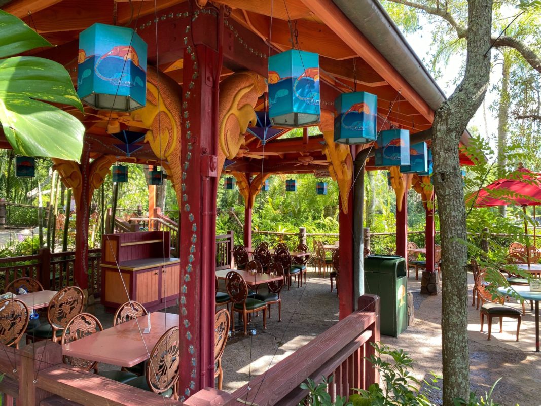 animal-kingdom-bird-prevention-1