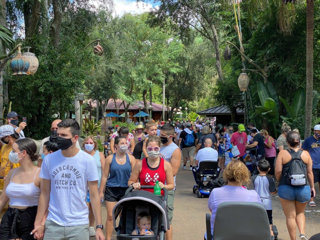 animal-kingdom-crowds-14