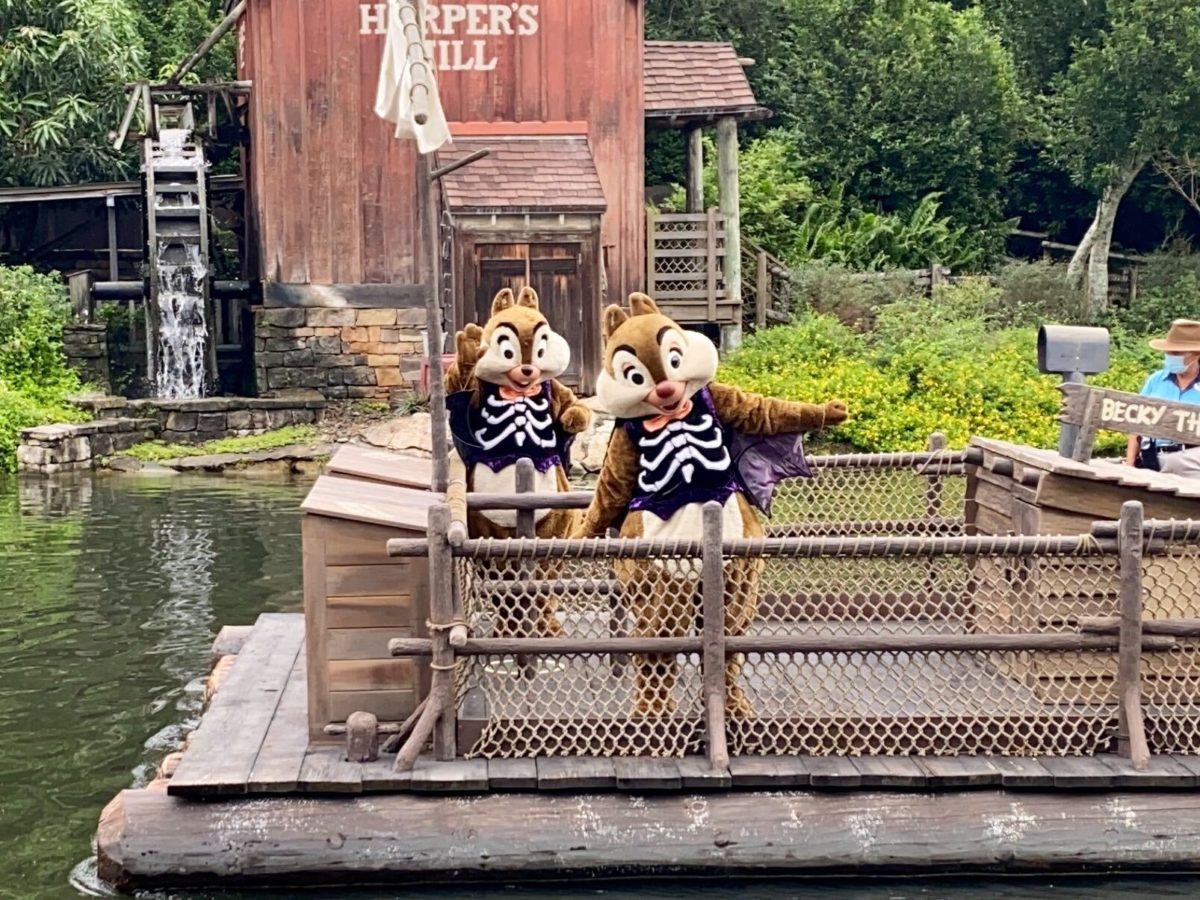 chip-and-dale-spooky-raft-2020-2822430