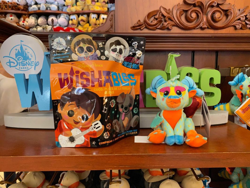 coco-wishabes-magic-kingdom_3