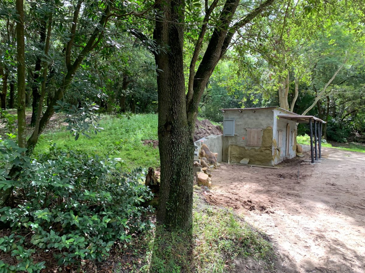 kilimanjaro-safaris-building-09-14-1