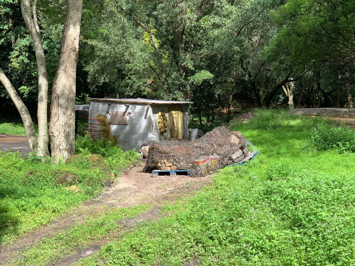 kilimanjaro-safaris-building-09-14-6