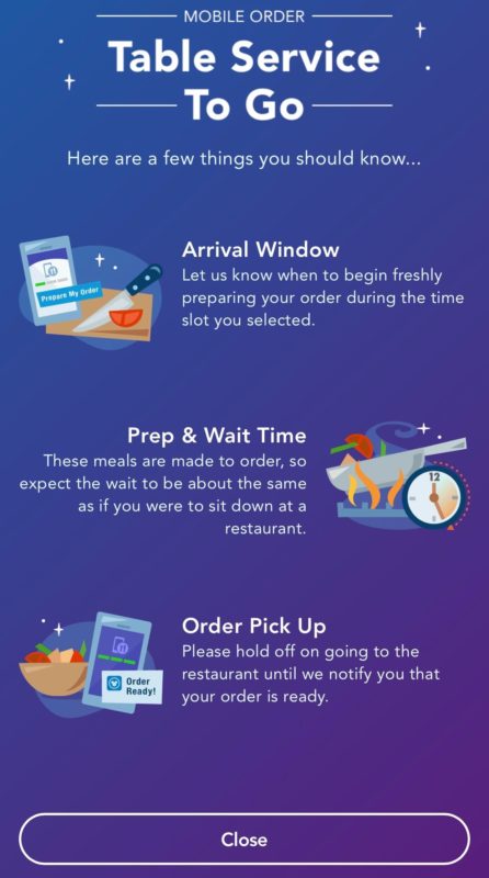 sanaa-to-go-my-disney-experience-4