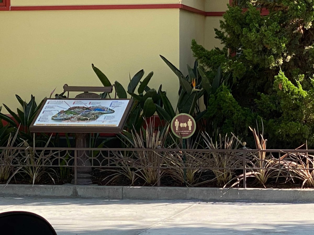 social-distancing-markers-installed-buena-vista-street-disney-california-adventure-17