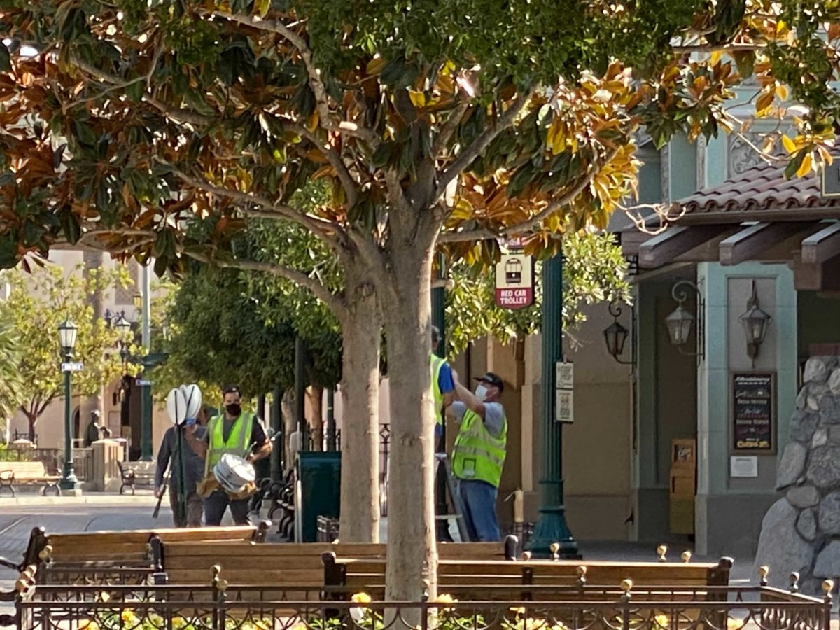 social-distancing-markers-installed-buena-vista-street-disney-california-adventure-3