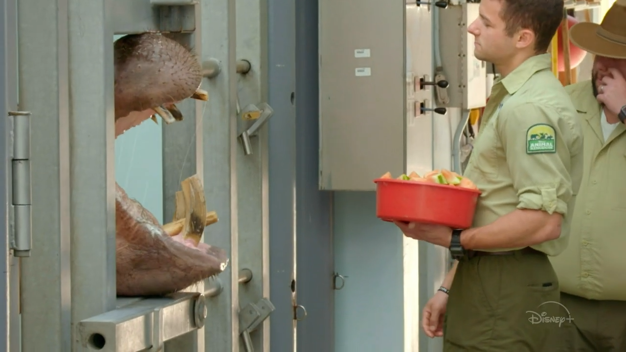 the-magic-of-disneys-animal-kingdom-disney-trailer