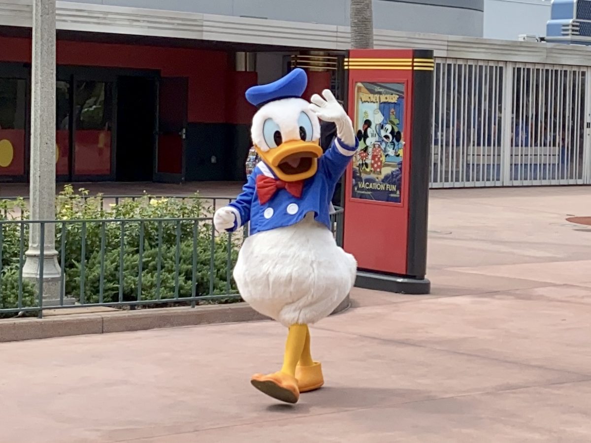 donald-duck-mickey-and-friends-motorcade-hollywood-studios-10012020-8024196
