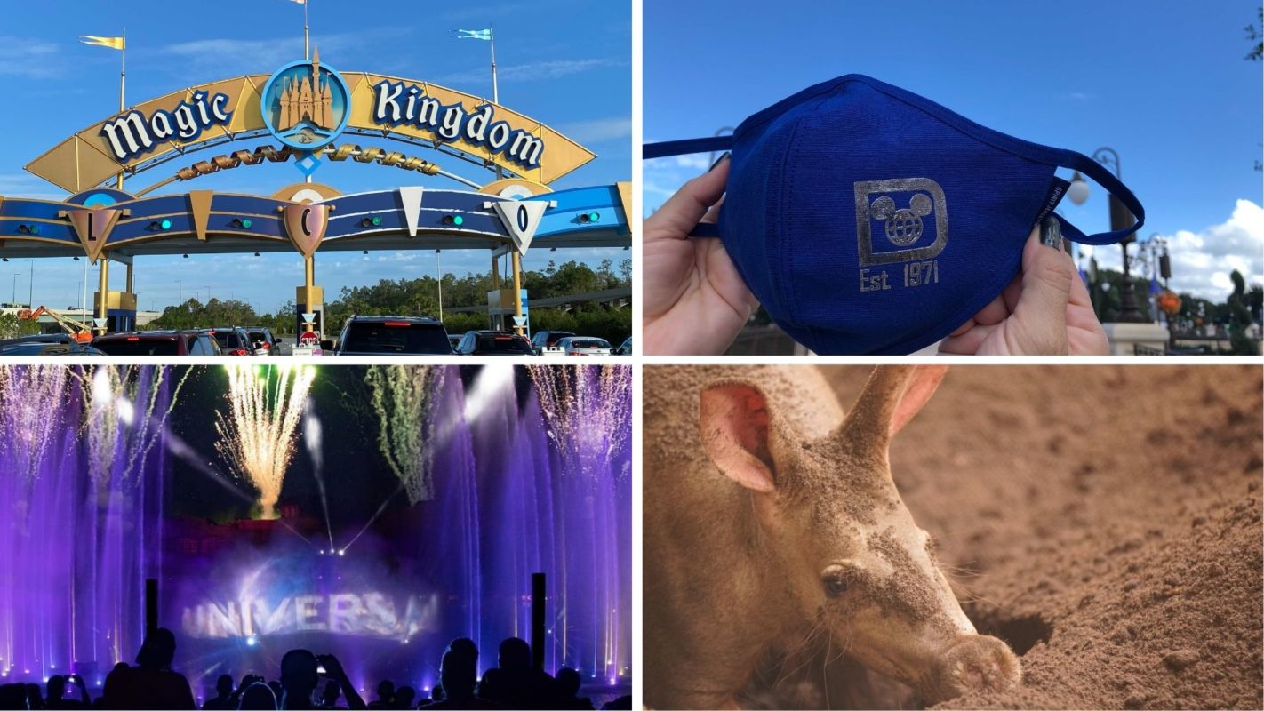 wdwnt-daily-recap-10-24-20