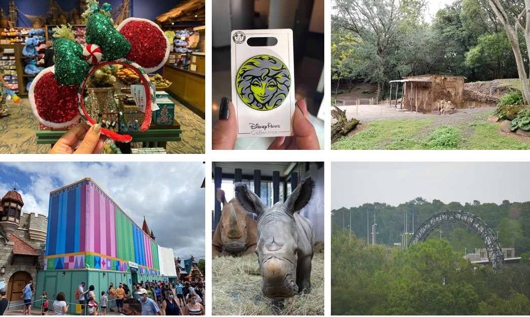 weekly-recap-10-25-2020