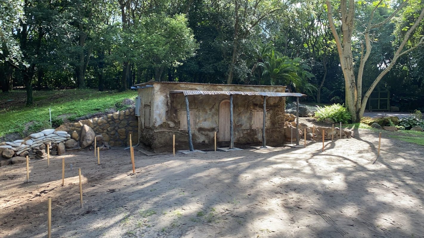 kilimanjaro-goat-exhibit-10-12-10