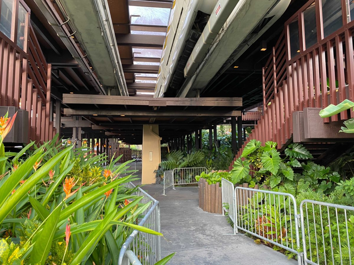 polynesian-construction-10-01-10