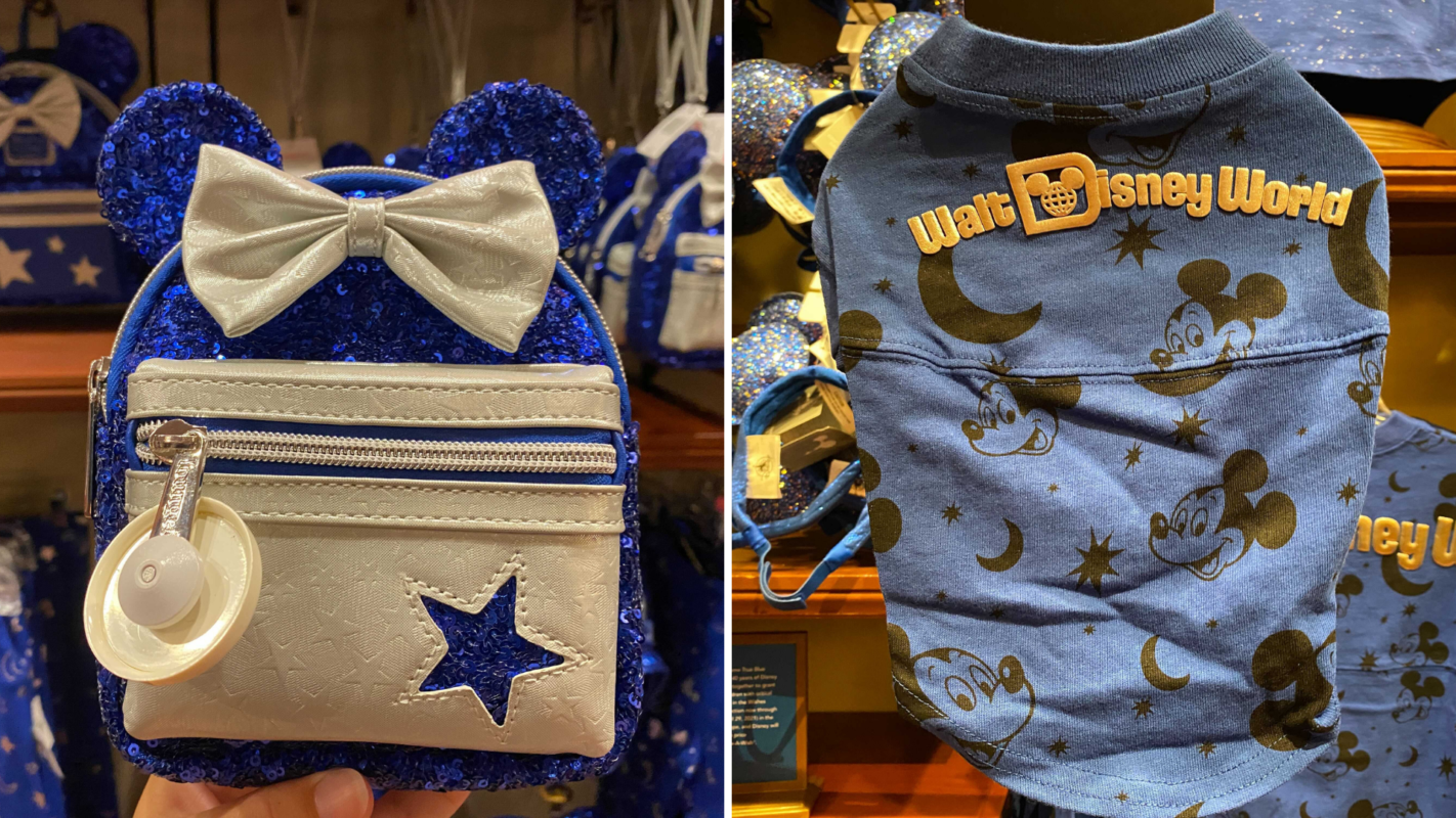 wishes-come-true-blue-loungefly-wristlet-disneytails-pet-spirit-jersey-featured