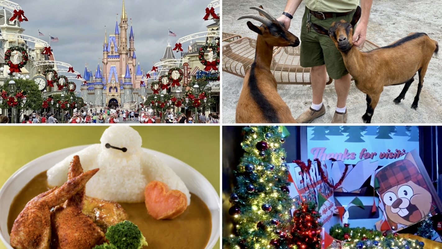 705c6678-1e37-4bd0-9668-222cc9b8729e