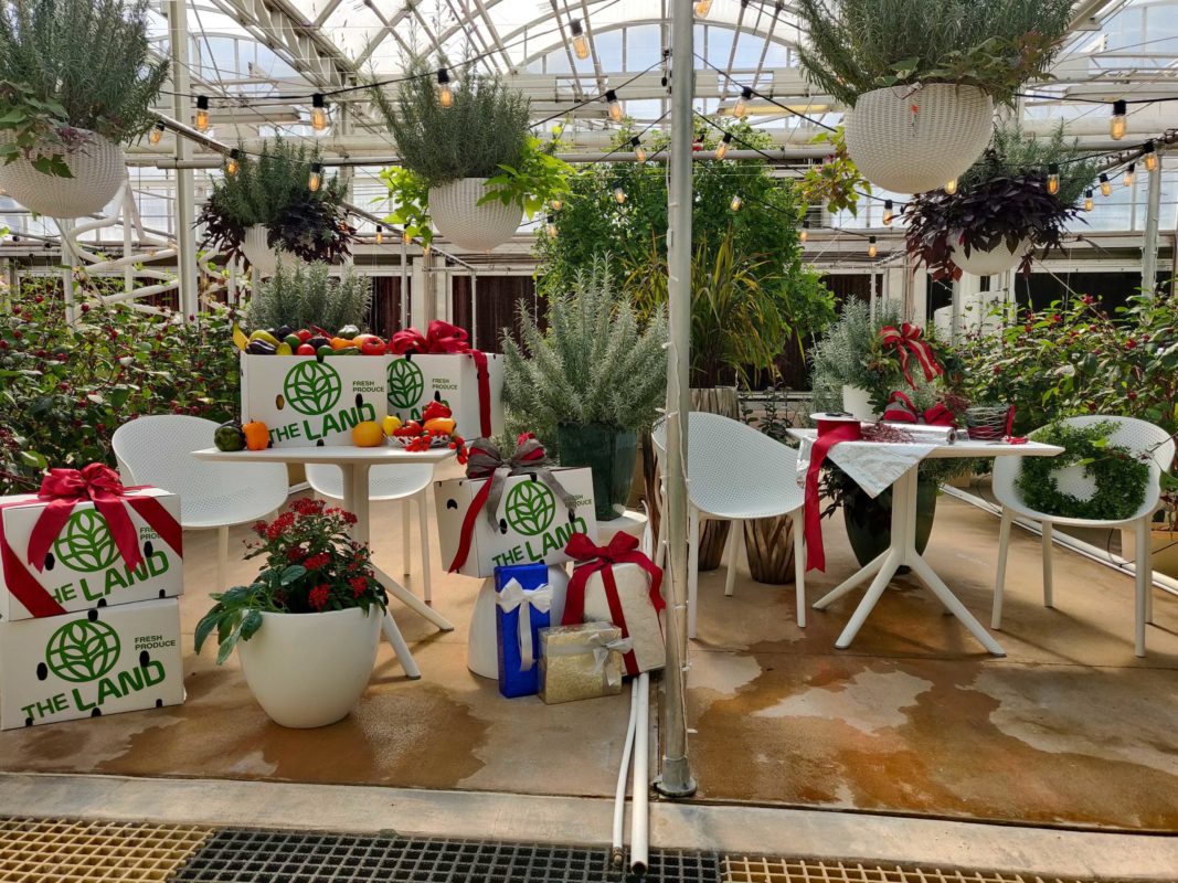 living-with-the-land-holiday-overlay-3-5732556