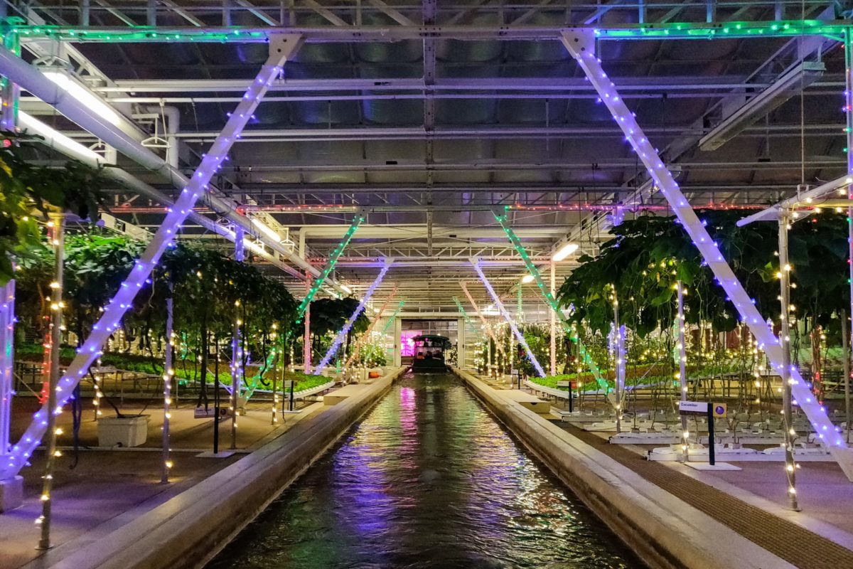 Living with the Land Christmas Overlay