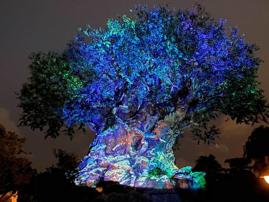 tree of life awakenings Disney's Animal Kingdom 2020