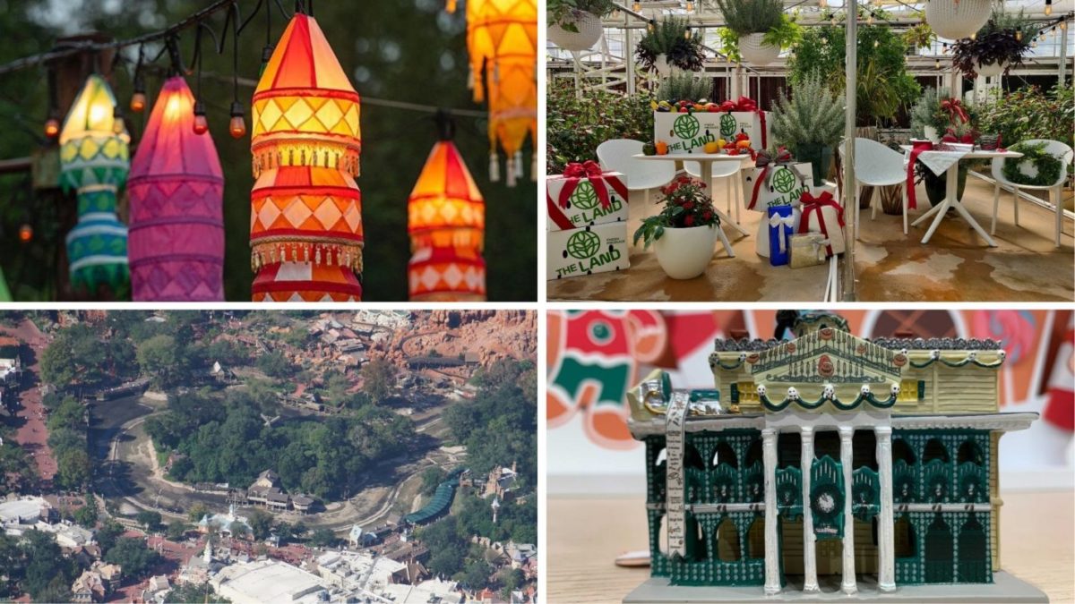 wdwnt-daily-recap-11-14-20