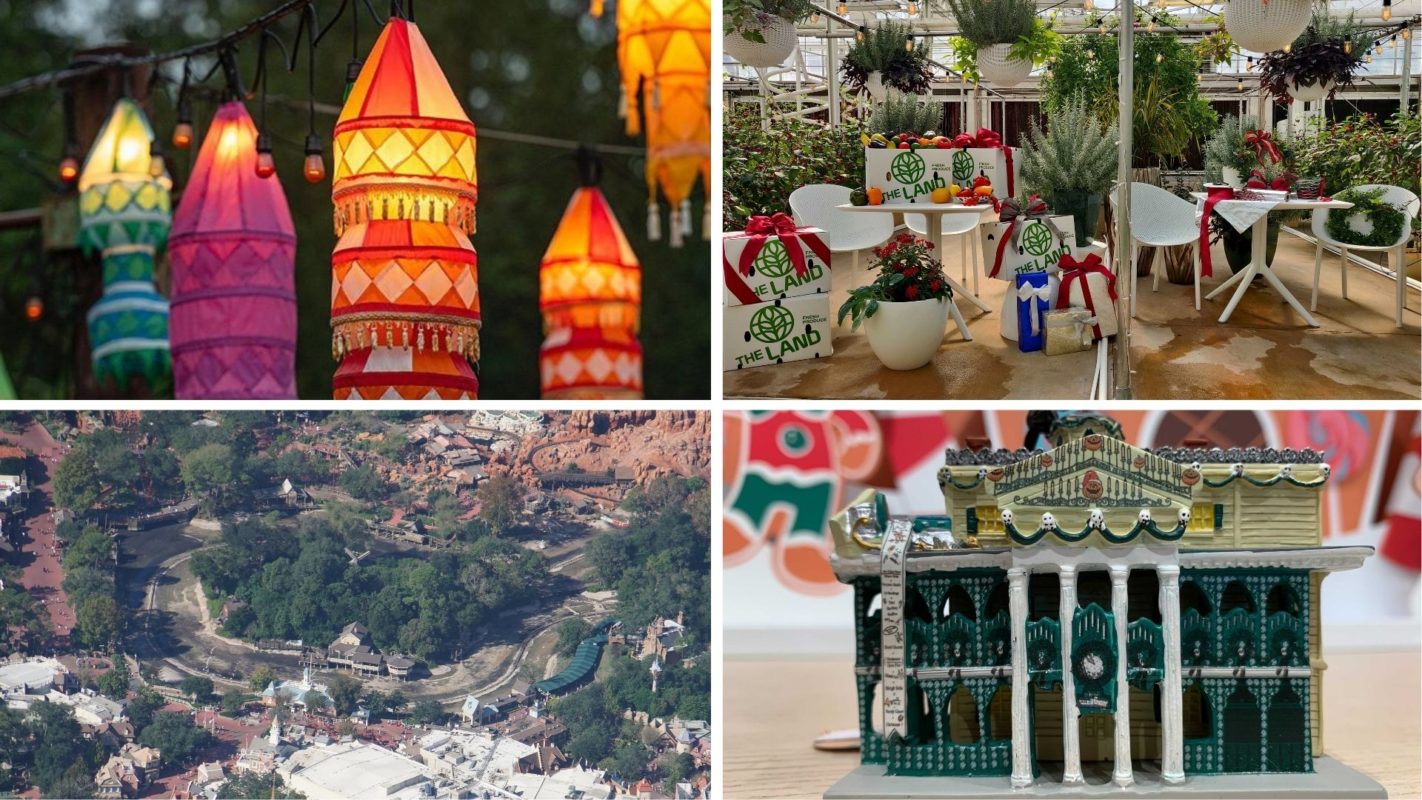 wdwnt-daily-recap-11-14-20