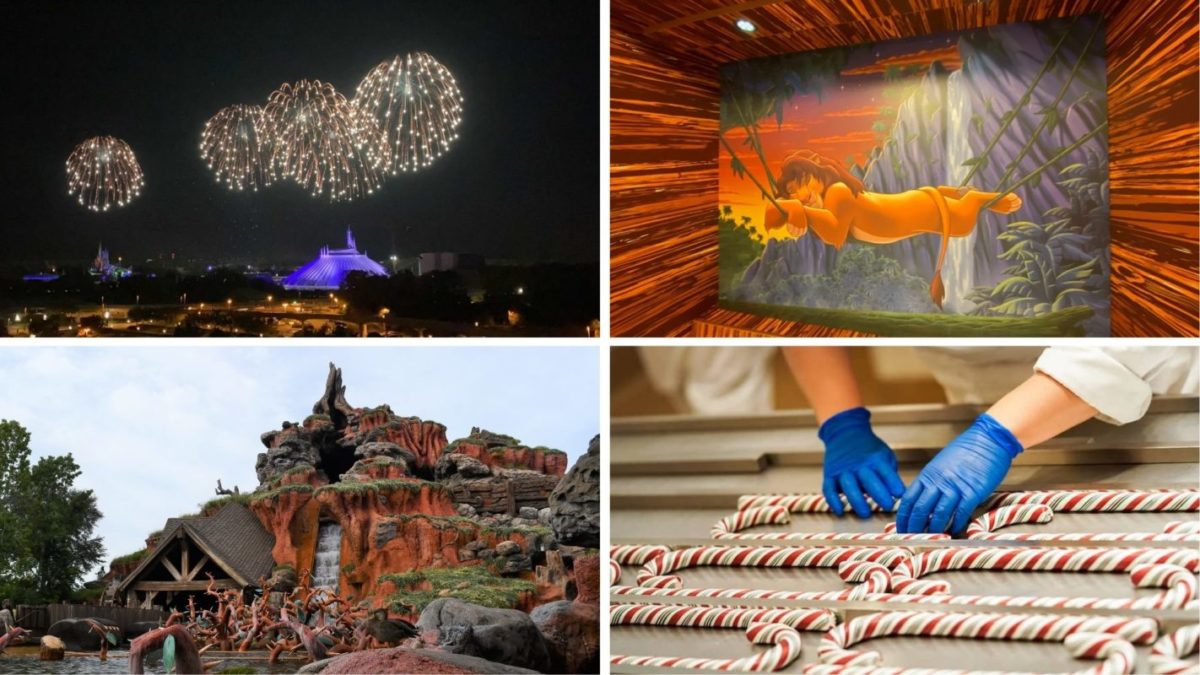 wdwnt-daily-recap-11-17-20